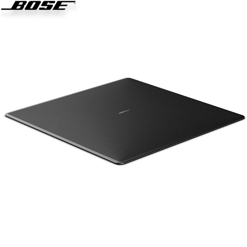 Loa Bose EdgeMax EM180 13